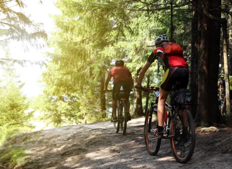 Okolica sprzyja wycieczkom pieszym i rowerowym