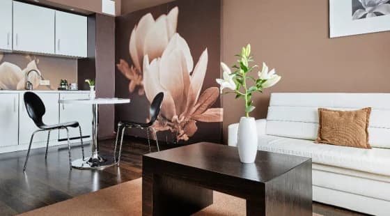 Apartament Suite Spa Lux