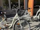 Ośrodek Opole oferuje gościom wypożyczalnię rowerów