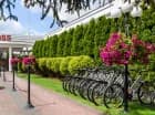 Hotel sąsiaduje z Mazowieckim Parkiem Krajobrazowym