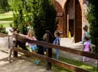 Jest tutaj Mini Zoo z kucykami, kozami, osiołkami