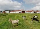 Na terenie działa mini zoo, w którym mieszkają także egzotyczne zwierzęta