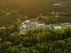 Hotel jest zanurzony w zieleni