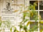 Villa Astra Baltica dysponuje wypożyczalnię rowerów