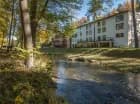Wokół hotelu rozciąga się park z pięknym drzewostanem