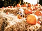 Możecie tutaj zrobić niezapomniane fotografie