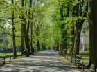 Najbliższą okolicę stanowią zielone alejki Plant