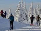 Trasa prowadzi do schroniska Smědava (oddalone o 7 km)