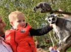 Rejs kończy się na wyspie lemurów