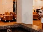 Dosłońce to hotel przyjazny zwierzętom