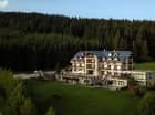 Hotel jest otoczony ścianą lasu
