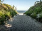 Blisko stąd na piaszczystą plażę w Krynicy Morskiej