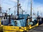 Atrakcje okolicy: port w Jastarni