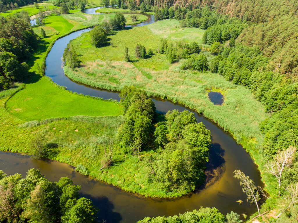 Rzeka Brda w Polsce idealna na spływy kajakowe
