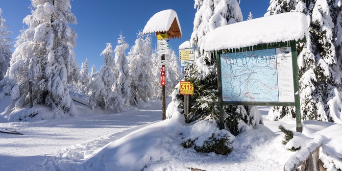 Zimowa trasa narciarstwa biegowego w Jakuszycach