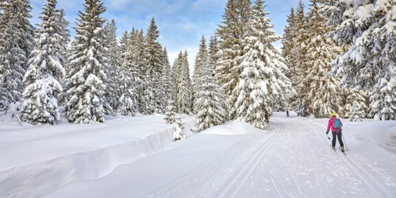 Zimowa sceneria i narty biegowe